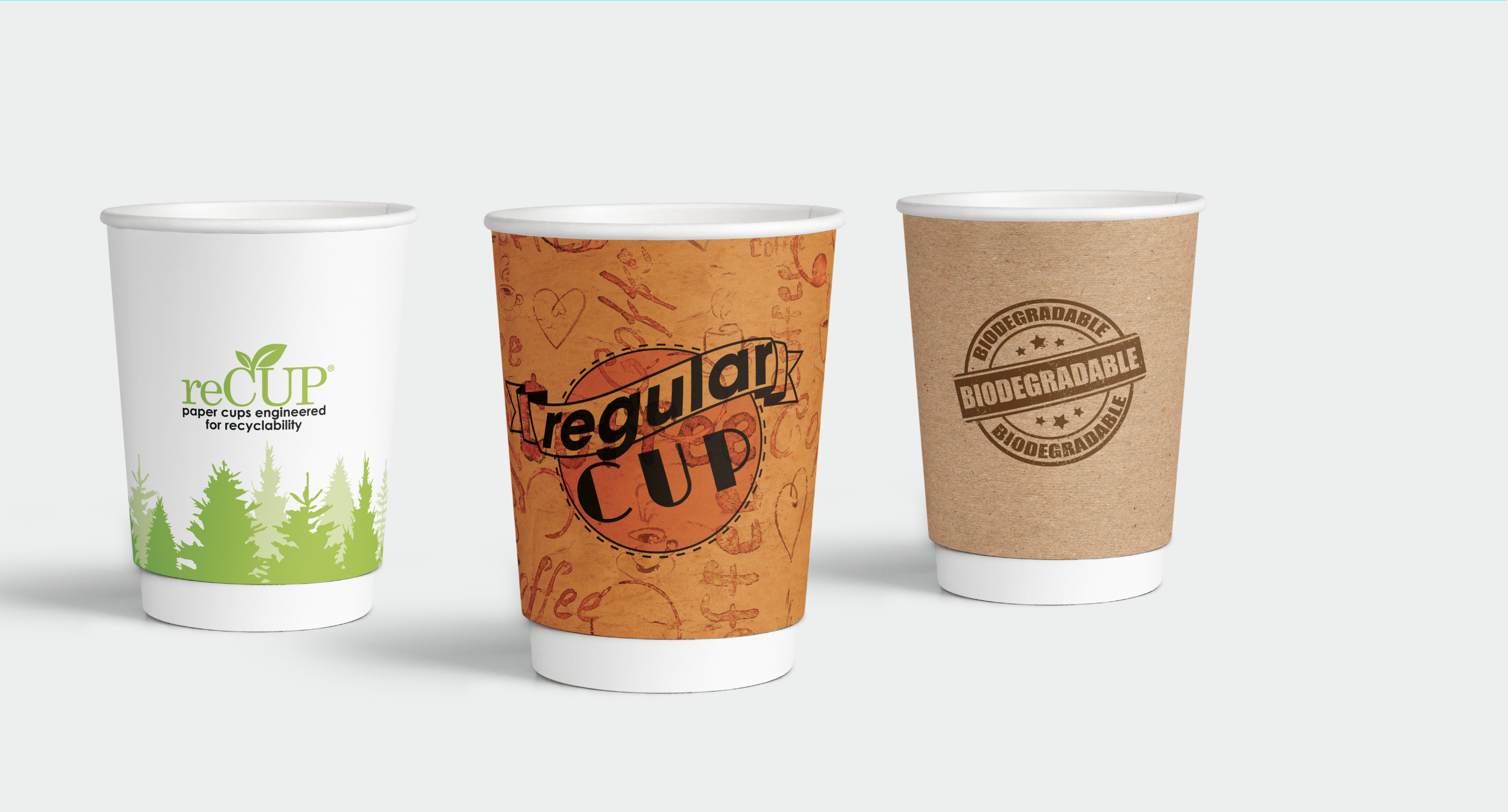 compare sustainable cup types buyers guide